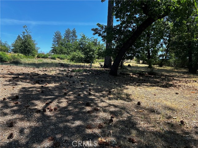 Front Image Thumbnail for CRSN26091405