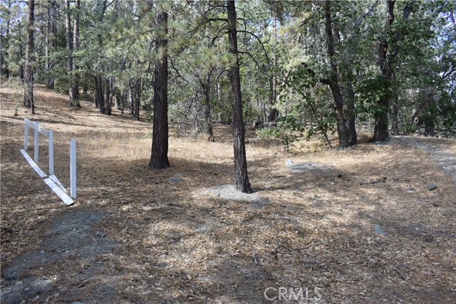 0 Logwood, Wrightwood, CA, 92397 0 Logwood, Wrightwood, CA, 92397
