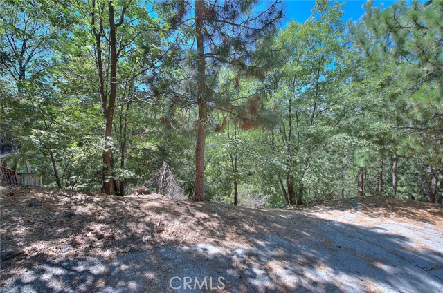 0 St Anton Drive, Lake Arrowhead, California 92352, ,Land,For Sale,0 St Anton Drive,CRCV23153140