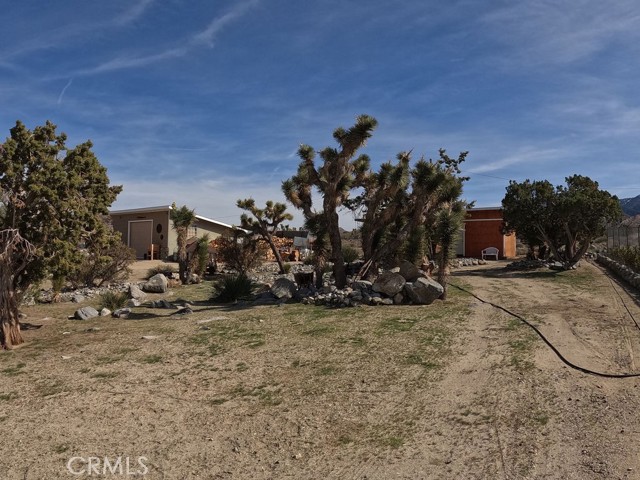 Detail Gallery Image 13 of 67 For 30000 Buchannon Ranch Rd, Llano,  CA 93544 - 3 Beds | 2 Baths