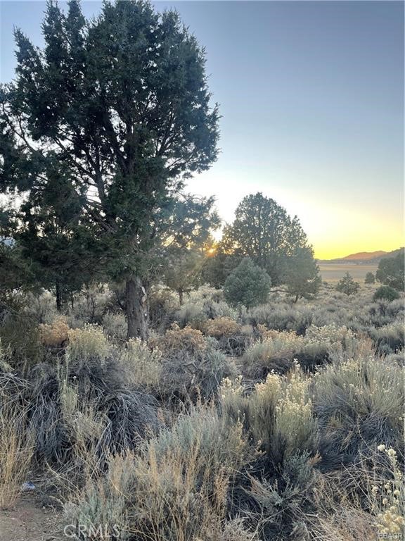 0 Baldwin, Big Bear City CA: https://media.crmls.org/medias/c3c87f85-0645-44a7-a34d-eaf341907521.jpg