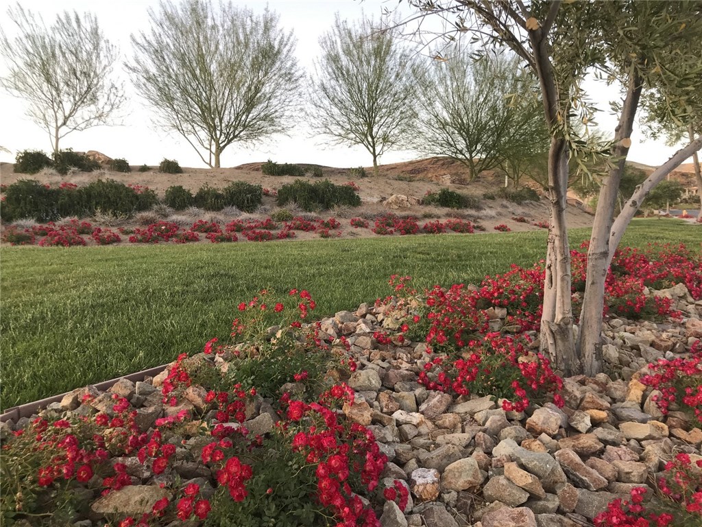 Detail Gallery Image 39 of 75 For 31 via Corvina(Lake Las Vegas, Henderson), –,  NV 89011 - 4 Beds | 3/1 Baths