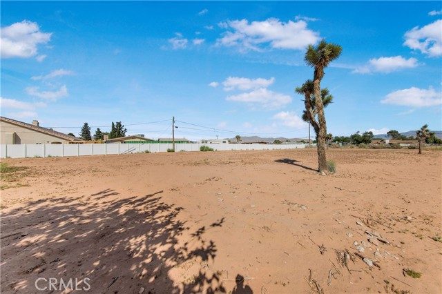 14317 Jicarilla Road, Apple Valley CA: https://media.crmls.org/medias/c3ce9af6-12d5-4619-ba33-b7d2f51fbaec.jpg