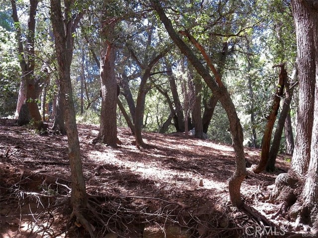 34 Mojave River Road, Cedarpines Park, California 92322, ,Land,For Sale,34 Mojave River Road,CREV22198953