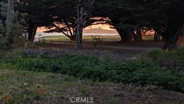 121 Magellan Avenue, Half Moon Bay CA: https://media.crmls.org/medias/c3d5605e-84e1-4d2f-820c-5b9155deebfe.jpg