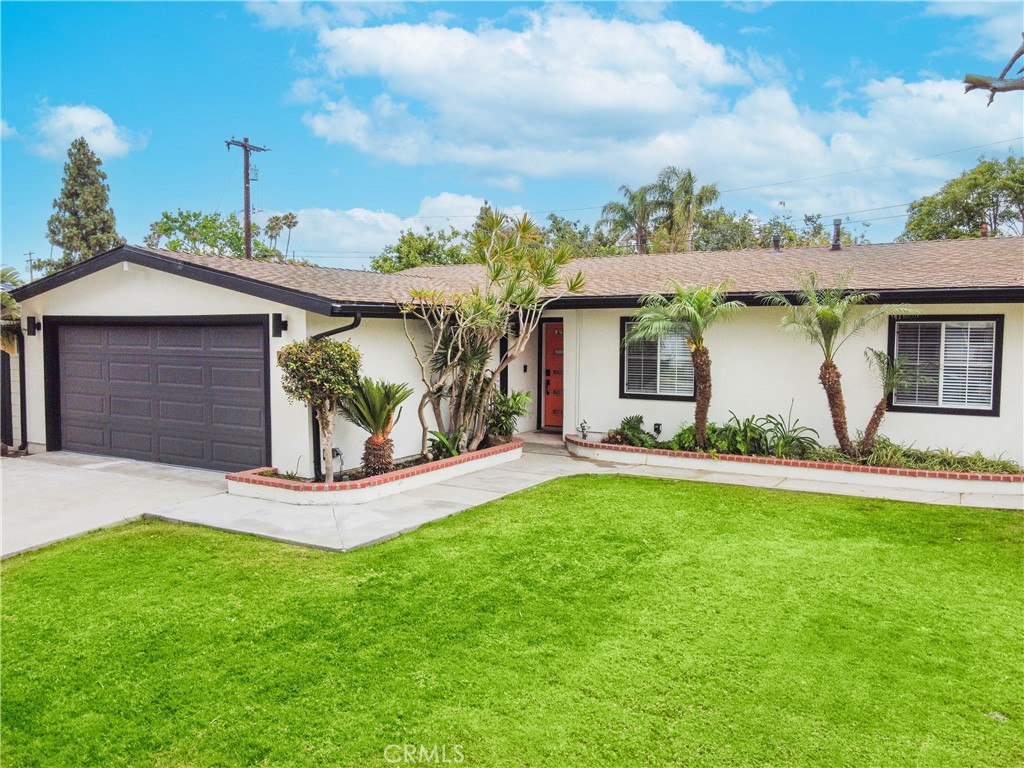 641 Joann Street