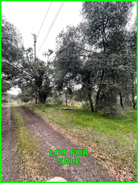 Detail Gallery Image 8 of 10 For 13672 Fair Oak Rd, Clearlake,  CA 95424 - – Beds | – Baths