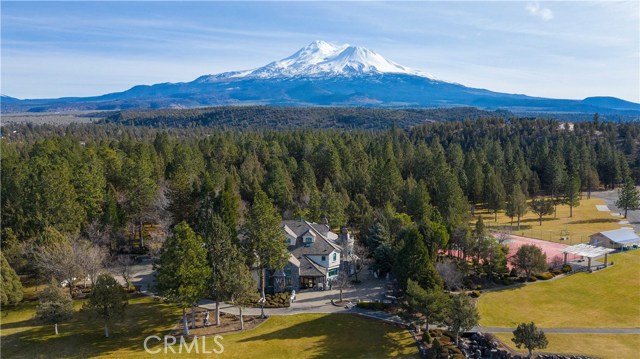 15733 Juniper Peak Road, Weed, California 96094, 5 Bedrooms Bedrooms, ,5 BathroomsBathrooms,Single Family Residence,For Sale,Juniper Peak,NP20015816