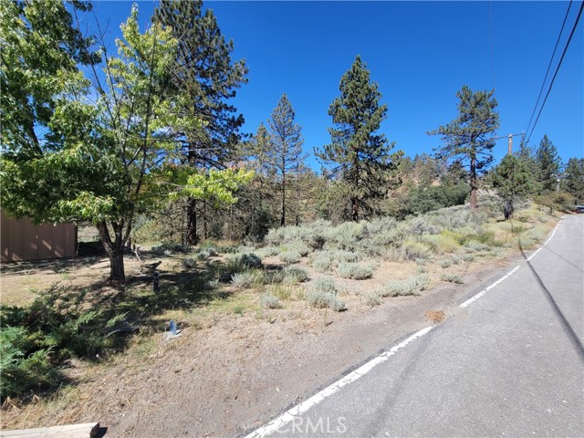 25701 Paramount Drive, Tehachapi, California 93561, ,Land,For Sale,25701 Paramount Drive,CRSR24047441