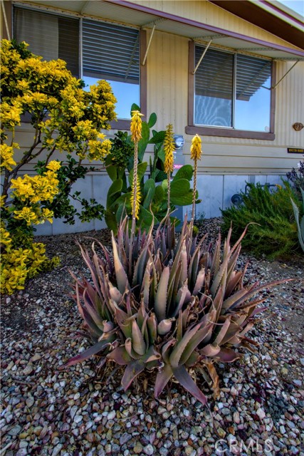 Detail Gallery Image 3 of 26 For 7425 Church Street #97,  Yucca Valley,  CA 92284 - 2 Beds | 2 Baths