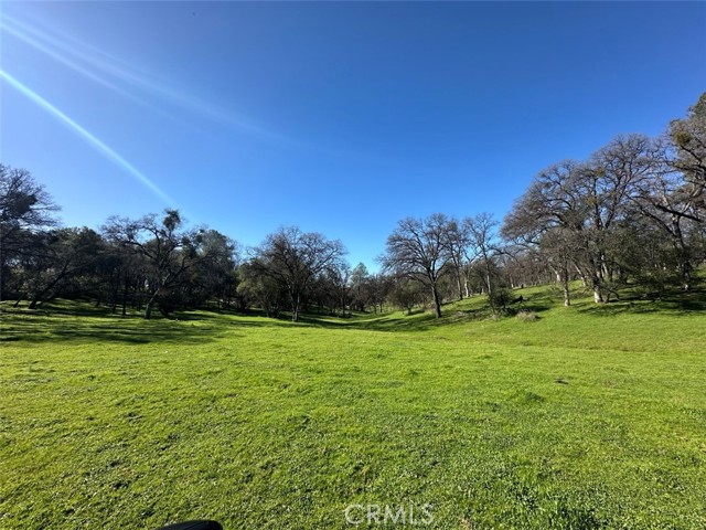 Detail Gallery Image 4 of 32 For 471 Ac - Hwy 49n, Mariposa,  CA 95338 - – Beds | – Baths