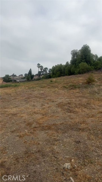 564 Camino De Teodoro, Walnut CA: https://media.crmls.org/medias/c3f2e638-622f-4dbc-bdda-71ac6529ee82.jpg