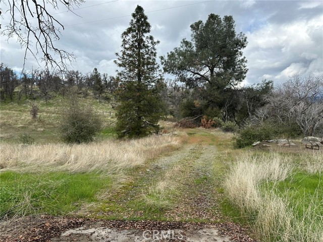 Image 15 of 60 For 43022 Apache Ranch Road