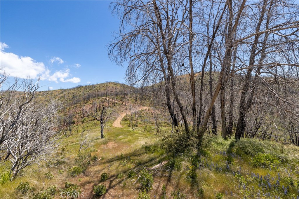 MLS #MP25088475 image #60