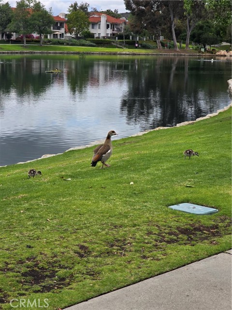 33 Calle Maria, Rancho Santa Margarita CA: https://media.crmls.org/medias/c4020508-b616-4a31-a11a-a1a681fb1973.jpg