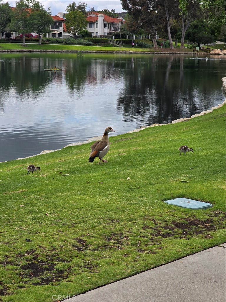 https://media.crmls.org/medias/c4020508-b616-4a31-a11a-a1a681fb1973.jpg?preset=X-Large