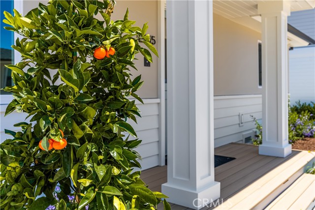 2134 Orange Avenue, Costa Mesa CA: https://media.crmls.org/medias/c4096be5-982a-4091-8e45-48f668faf0e7.jpg