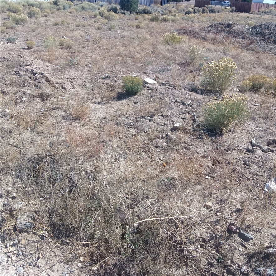 MLS #JT25255966 image #8