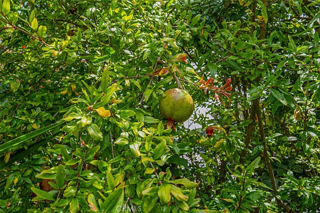 https://media.crmls.org/medias/c40f8a78-a74a-4a3a-a245-c83509cefb4d.jpg?preset=X-Large