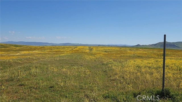 Looking south from Belmont Trail, along Camanche Rd. The NE corner of the parcel is ~990 ft south of the post.