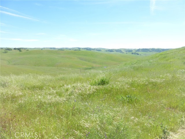 Detail Gallery Image 40 of 42 For 0 Douglas Rd. (Lot 28), San Miguel,  CA 93451 - – Beds | – Baths