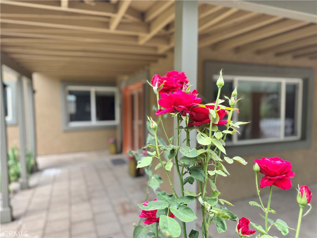 https://media.crmls.org/medias/c41611ad-83ee-4272-b0bd-3f0862d14439.jpg?preset=X-Large