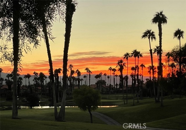 Detail Gallery Image 3 of 36 For 38196 Zinnia Ln, Palm Desert,  CA 92211 - 2 Beds | 2 Baths