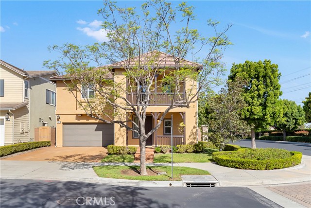 Front Image Thumbnail for CRNP26061320