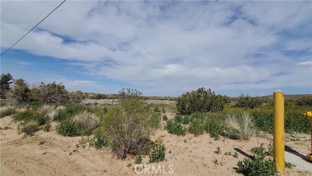 Detail Gallery Image 8 of 31 For 0 123rd St East Near Ave X8, –,  CA 93553 - – Beds | – Baths