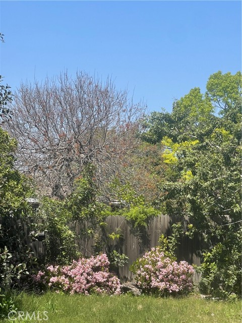 MLS# OC23070291