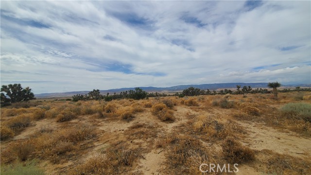 0 Vicinity Kingbird & 243rd St W, Rosamond, California 93560, ,Land,For Sale,0 Vicinity Kingbird & 243rd St W,CRSR23155108