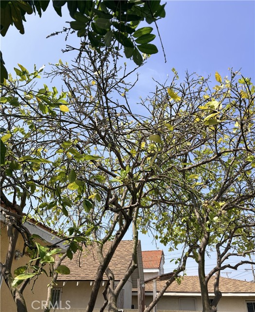 Detail Gallery Image 48 of 49 For 4941 W 130th, Hawthorne,  CA 90250 - 4 Beds | 4 Baths