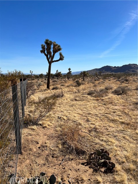 Detail Gallery Image 11 of 23 For 59347 Aberdeen Dr, Yucca Valley,  CA 92284 - – Beds | – Baths