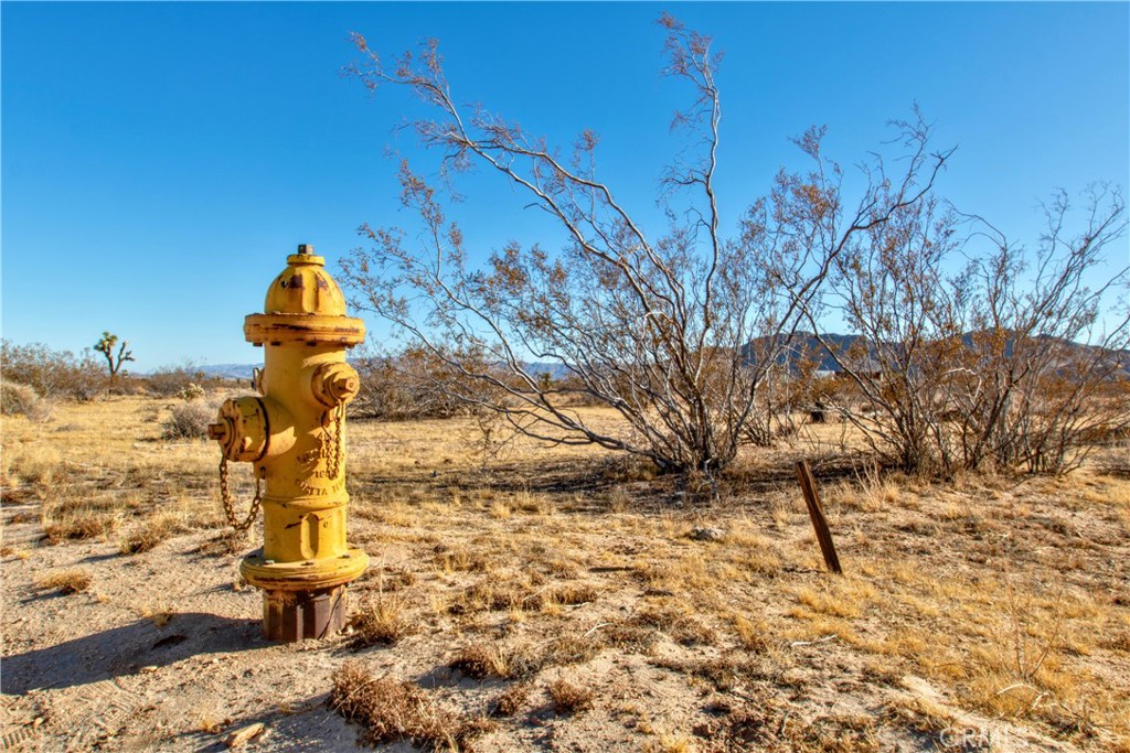 MLS #JT24248748 image #10