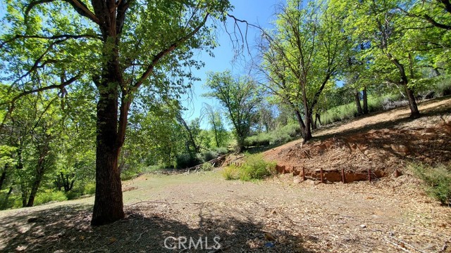 Detail Gallery Image 12 of 12 For 11890 Loch Lomond, Loch Lomond,  CA 95461 - – Beds | – Baths