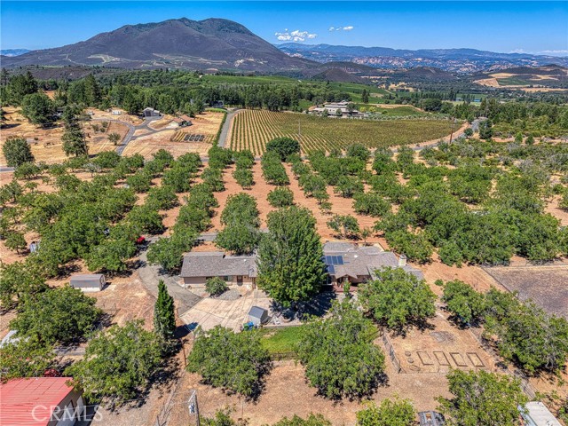 8700 Red Hills Road, Kelseyville CA: https://media.crmls.org/medias/c4276ec8-c7f8-40b0-a099-defa25c861e0.jpg