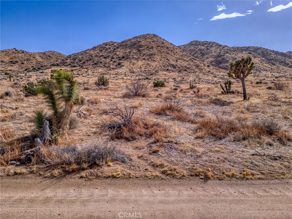 MLS #JT25046600 image #22