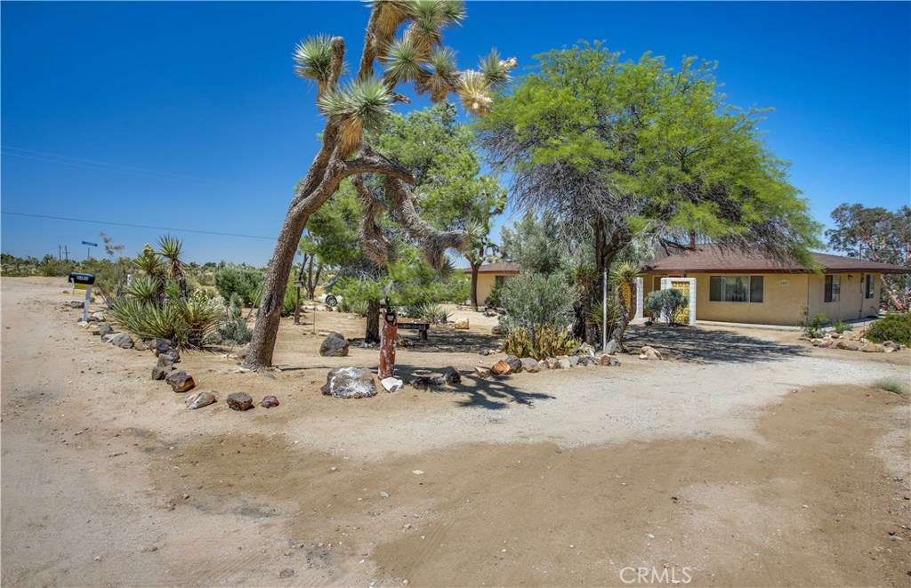 MLS #JT25238797 image #5