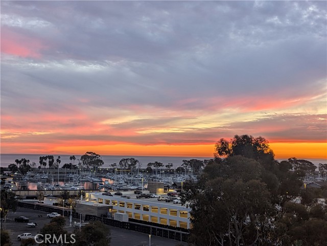 Detail Gallery Image 39 of 47 For 25422 Sea Bluffs Dr #103,  Dana Point,  CA 92629 - 1 Beds | 1 Baths