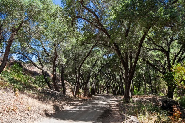 9031 Tassajara Creek Road, Santa Margarita CA: https://media.crmls.org/medias/c43a06e3-45bd-4c4a-b86e-8a8393a6762c.jpg