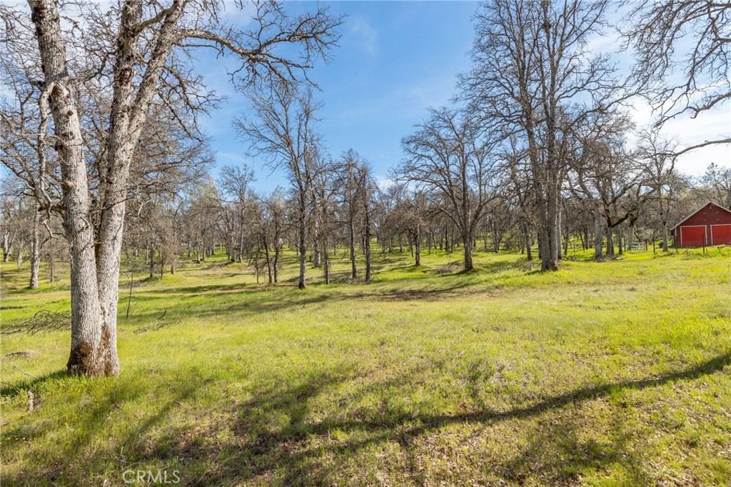 MLS #MP25083709 image #7