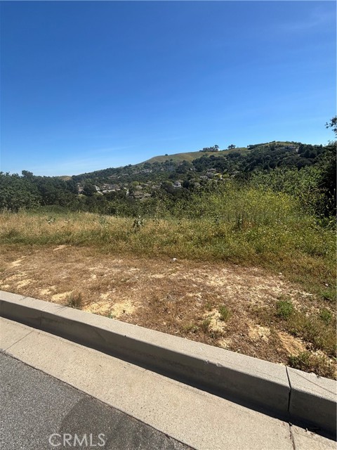 Detail Gallery Image 24 of 27 For 2105 Oak Canyon, Chino Hills,  CA 91709 - – Beds | – Baths