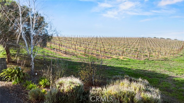 Detail Gallery Image 9 of 9 For 7114 Orcutt Rd, San Luis Obispo,  CA 93401 - – Beds | – Baths