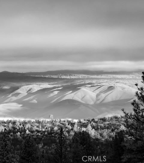 https://media.crmls.org/medias/c441ff1f-6468-4fcd-9cbd-5008f2a9362e.jpg?preset=X-Large