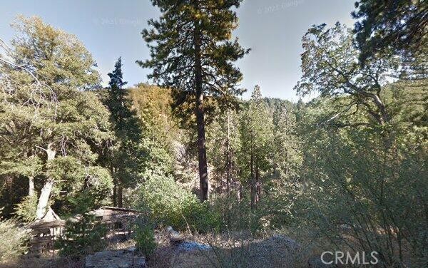 Detail Gallery Image 4 of 10 For 0 Burnt Mill Canyon, Cedarpines Park,  CA 92322 - – Beds | – Baths