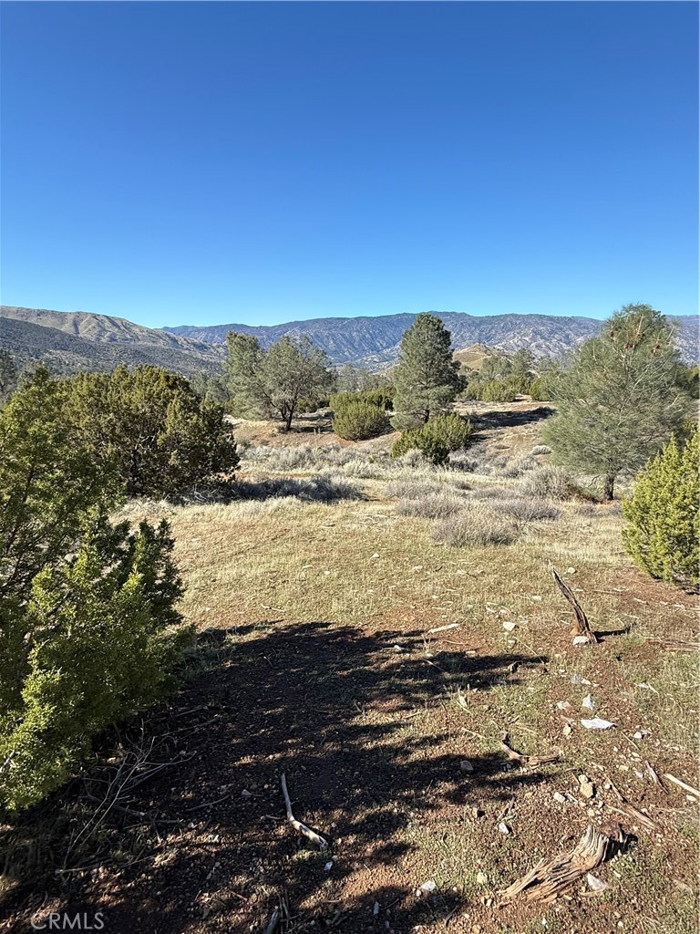 MLS #PW25248137 image #6