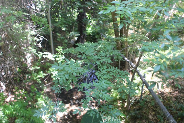 10799 Sherman Grove Avenue, Los Angeles CA: https://media.crmls.org/medias/c448231d-5b44-4e1e-894e-bea19c4c7040.jpg