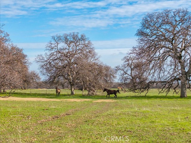 Detail Gallery Image 6 of 24 For 16620 Paskenta Rd, Flournoy,  CA 96029 - 2 Beds | 2 Baths