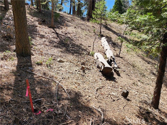 Detail Gallery Image 17 of 24 For 586 Rose, Twin Peaks,  CA 92391 - – Beds | – Baths