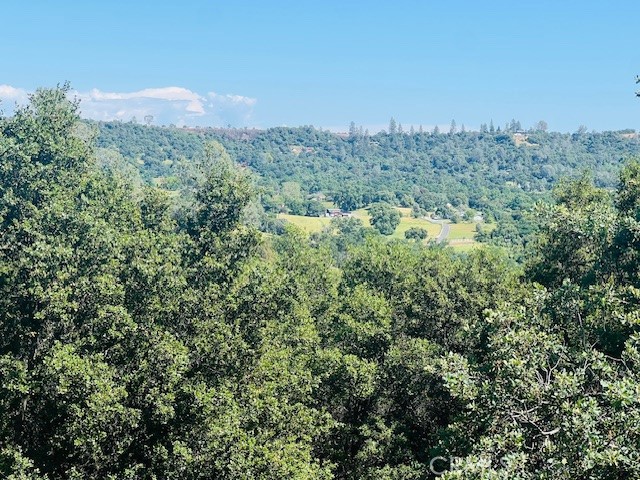 Detail Gallery Image 44 of 75 For 8697 Fraguero Rd, Sonora,  CA 95370 - 4 Beds | 2/1 Baths